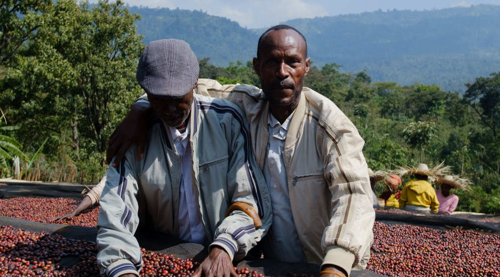 Smallholders agricoltori Adado Etiopia