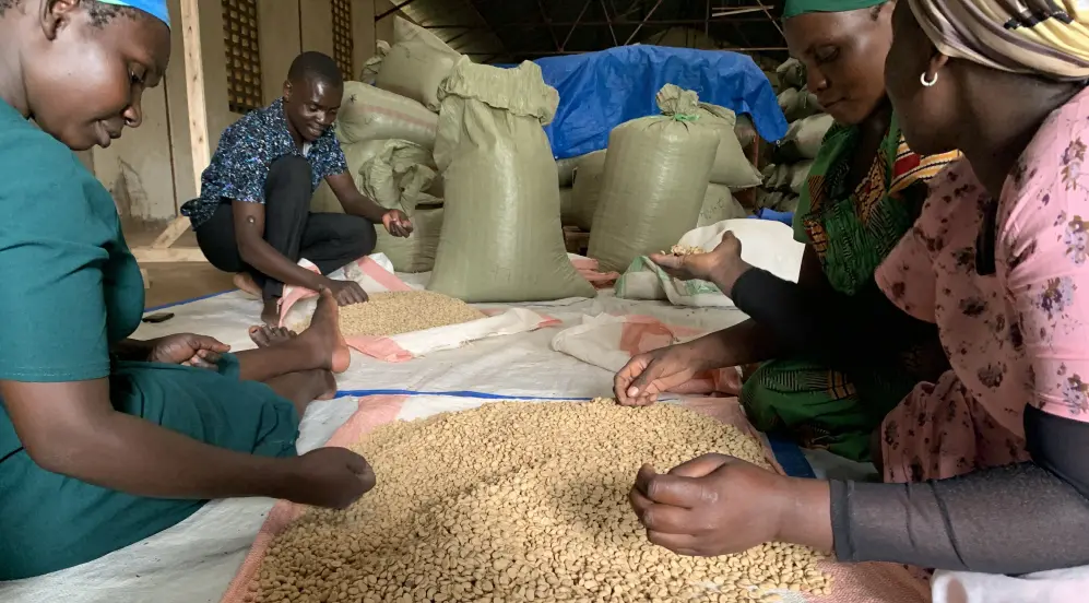    LALA SALAMA - Uganda Decaf
