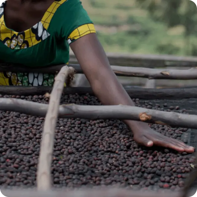 SIMBI HONEY - Rwanda